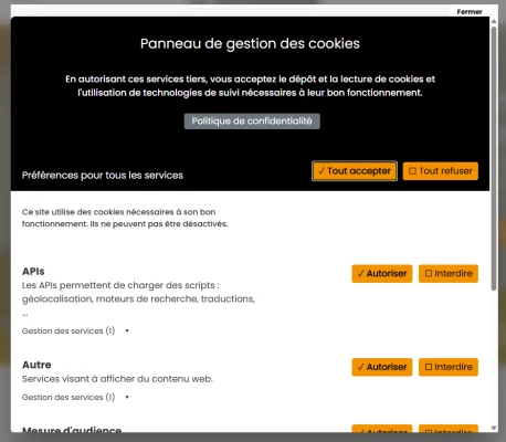 Module PrestaShop Cookie Consent RGPD &amp; Google CMv2 — capture 2